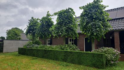 Onderhoud